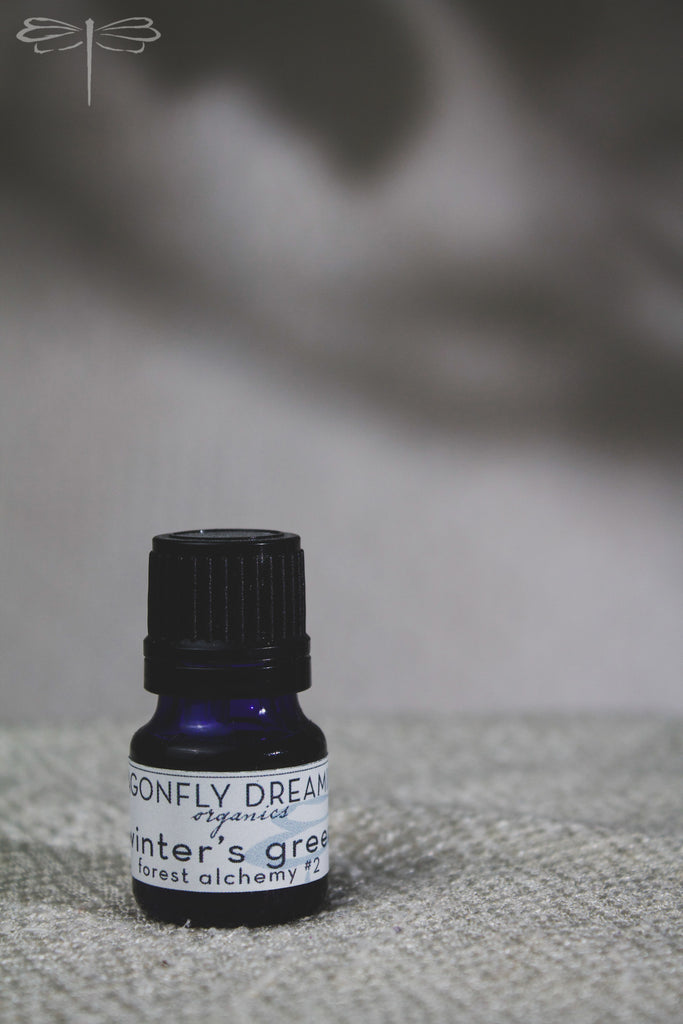 Pictured here, Forest Alchemy #2 Winter's Green Essential Oil Blend by Dragonfly Dreaming Organics