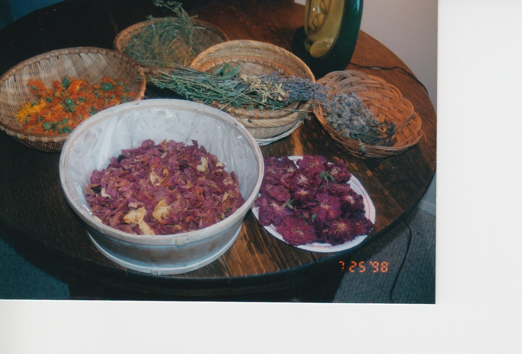 Beth Lischeron Herbalism 1998