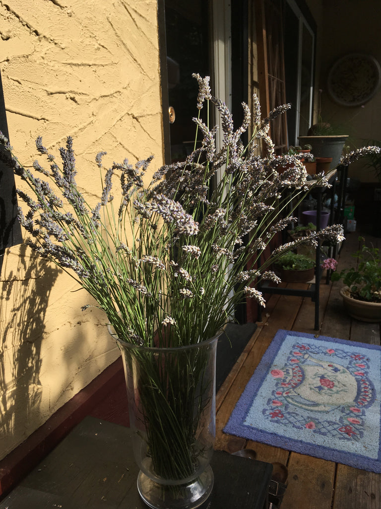 A lavender bouquet on the back deck at headquarter in Cobble Hill, Vancouver Island BC