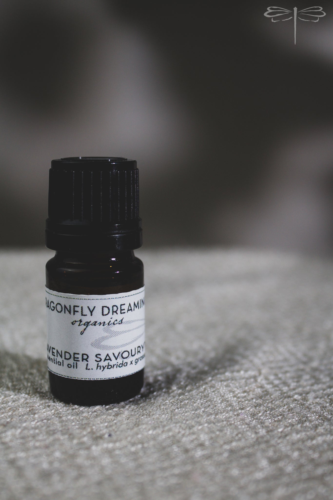 Lavender Essential Oil (Savoury) by Dragonfly Dreaming Organics